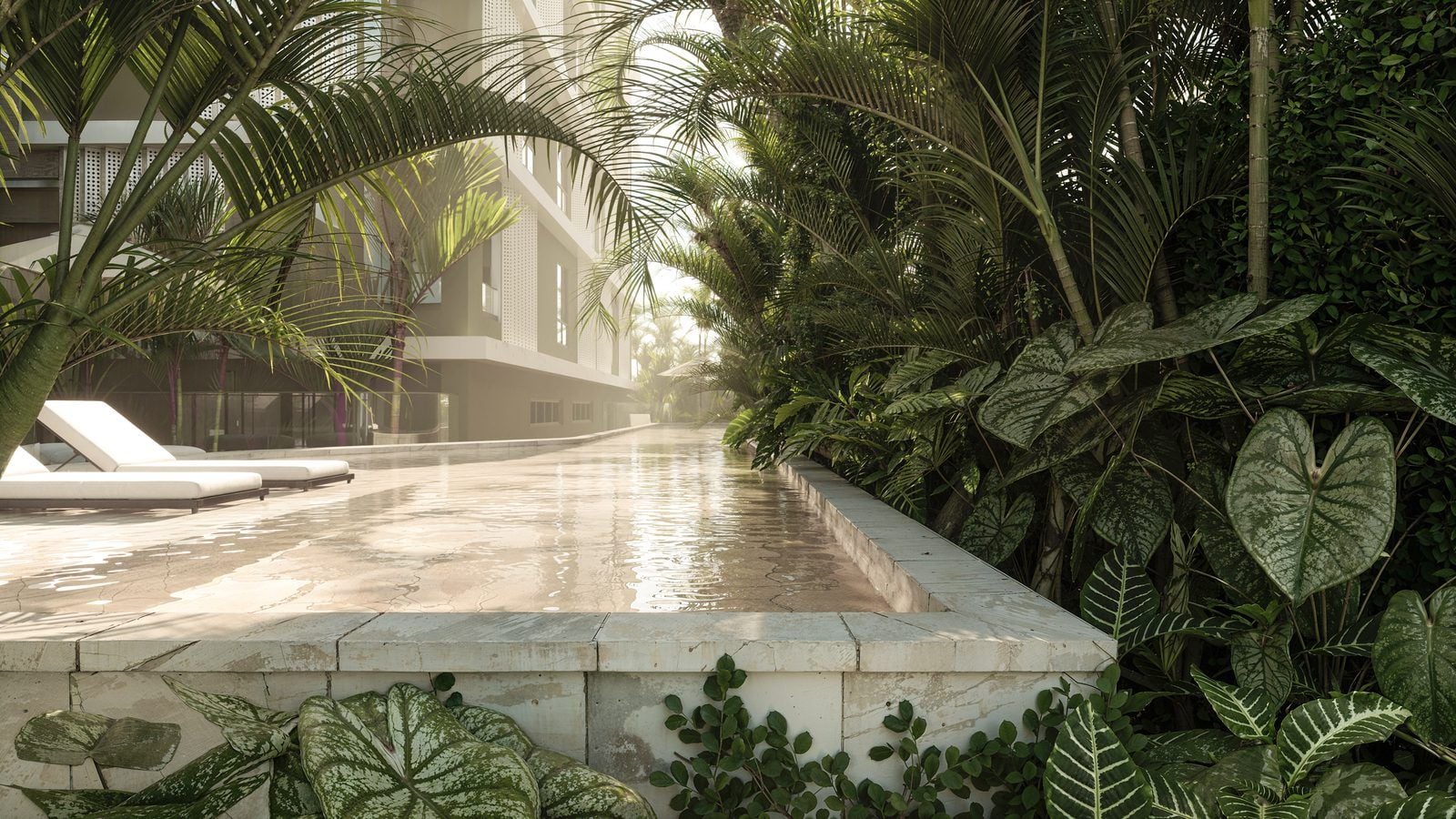 Piscina externa